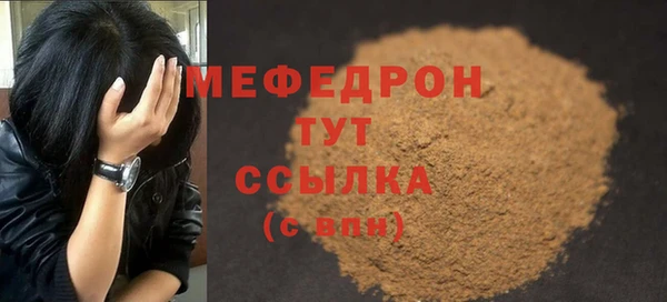 spice Богородицк