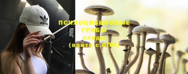 2c-b Корсаков