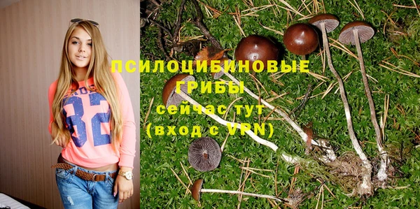 крисы Костерёво
