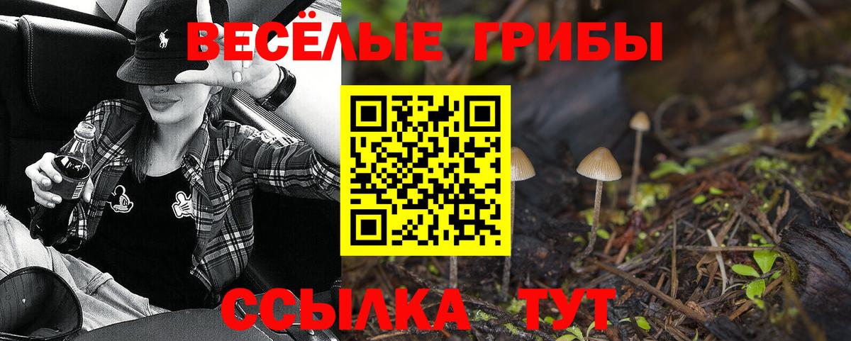 Псилоцибиновые грибы Psilocybine cubensis  Вход с VPN  Октябрьский 
