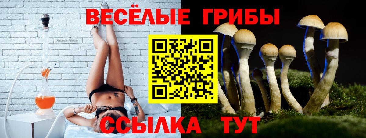 Галлюциногенные грибы Psilocybine cubensis Октябрьский